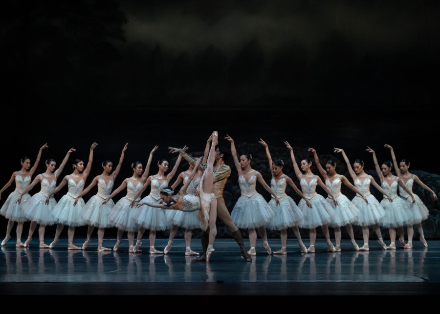 Review: SDT’s Swan Lake